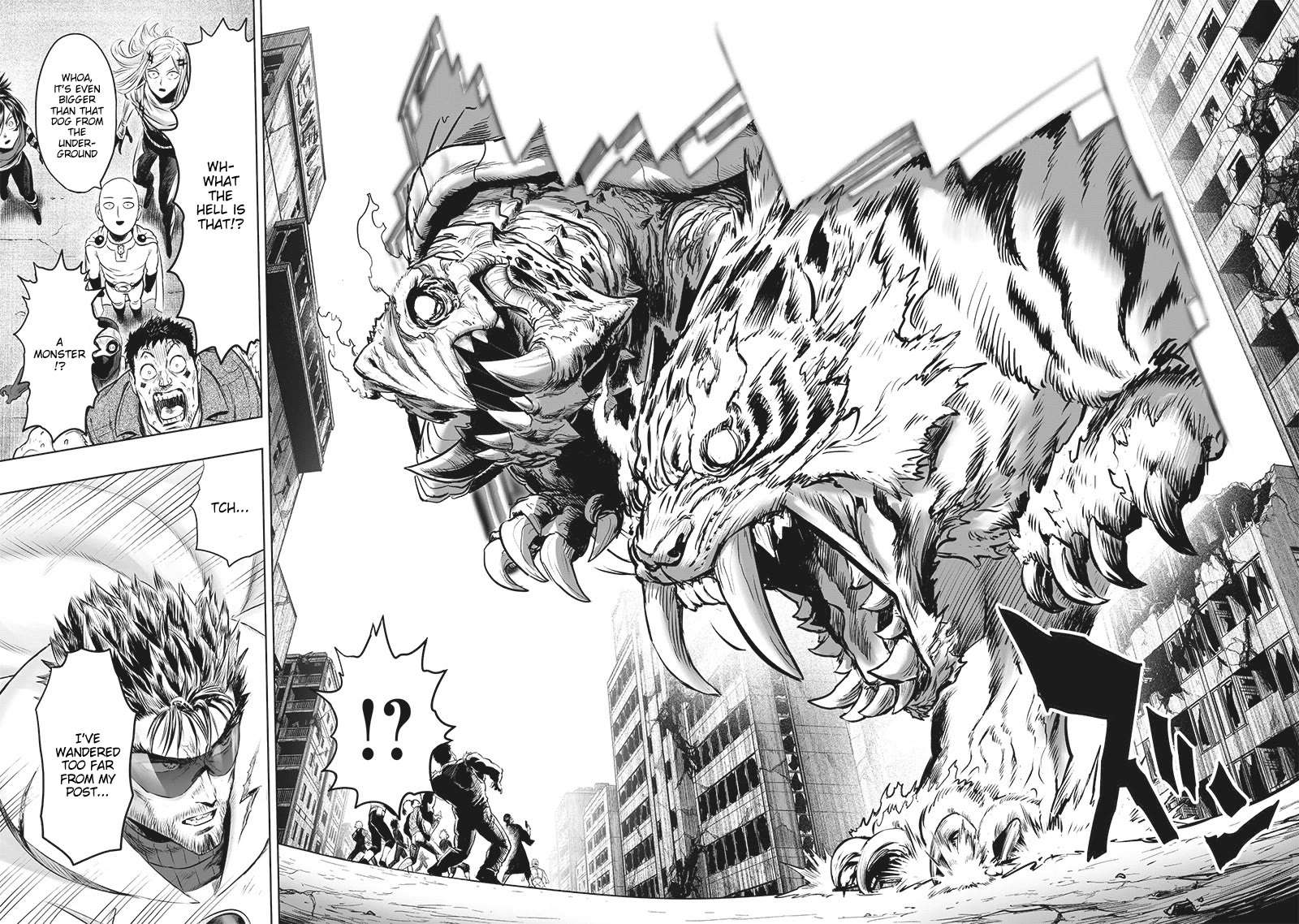 One Punch Man - Chapter 201.5 image 13